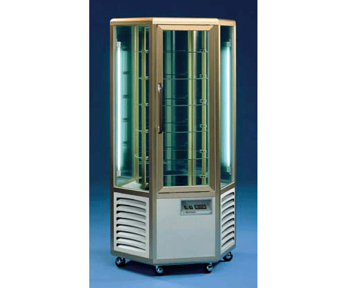 Vitrine Snelle 630R TECFRIGO